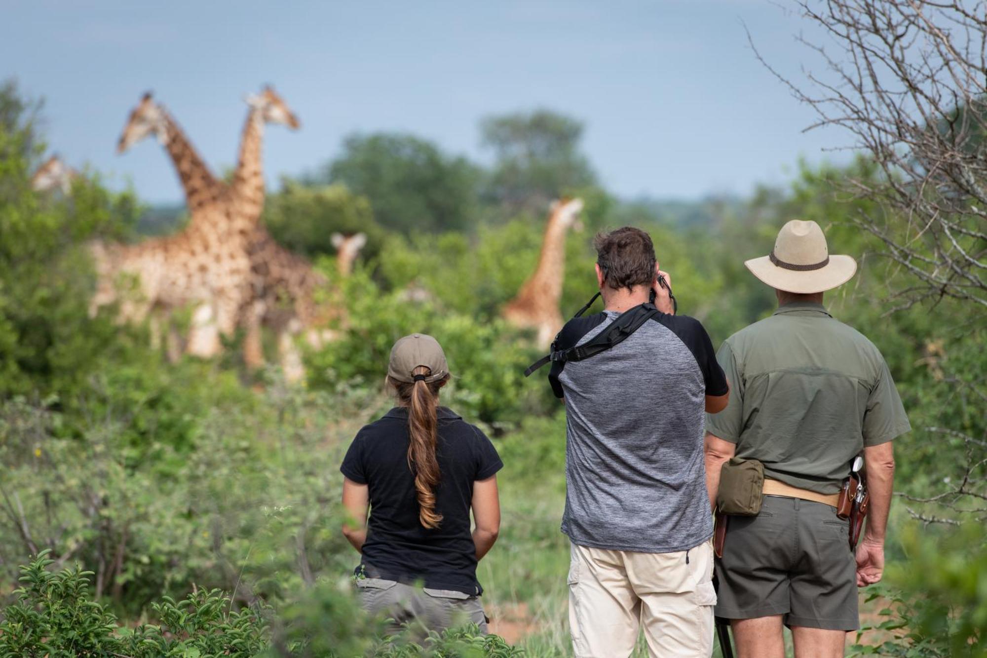 Senalala Safari Lodge 克拉塞利尔自然保护区 外观 照片